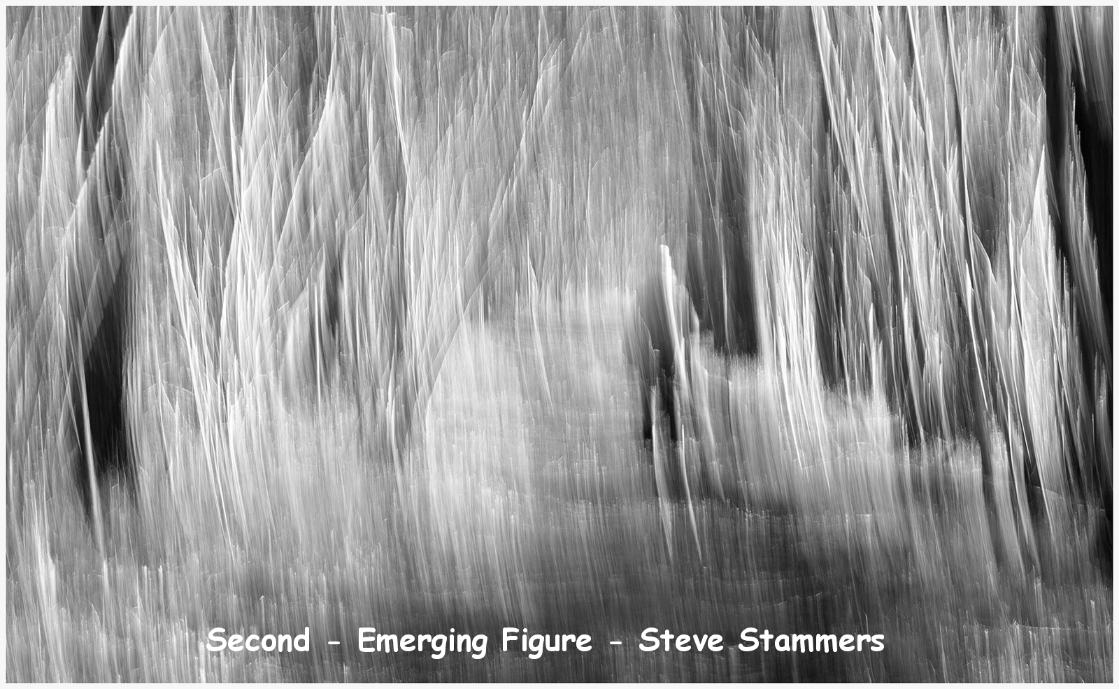 Emerging_Figure_Steve_Stammers.jpg